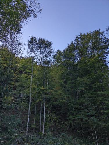 PXL 20231028 085431838.MP 