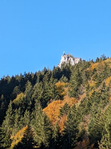 PXL 20231028 092855104.MP 