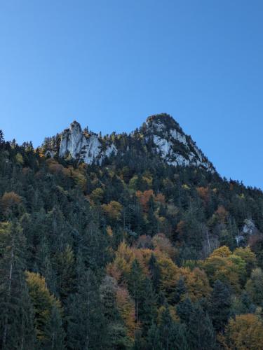 PXL 20231028 093018913.MP 