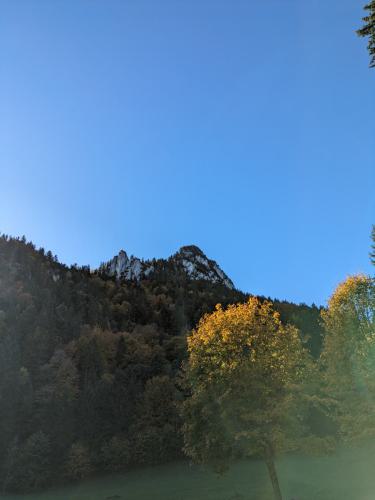 PXL 20231028 093249393.MP 