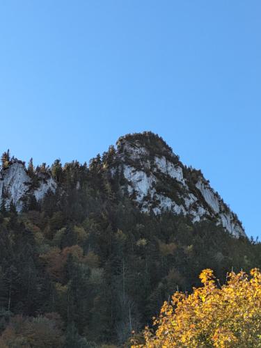 PXL 20231028 093252509.MP 