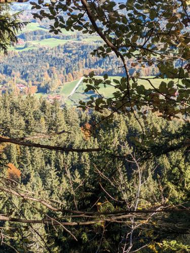 PXL 20231028 094425917.MP 