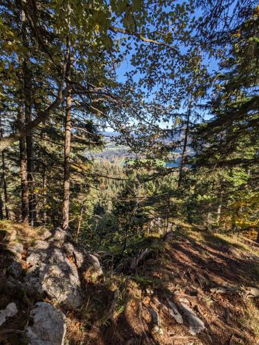 PXL 20231028 094427759.MP 