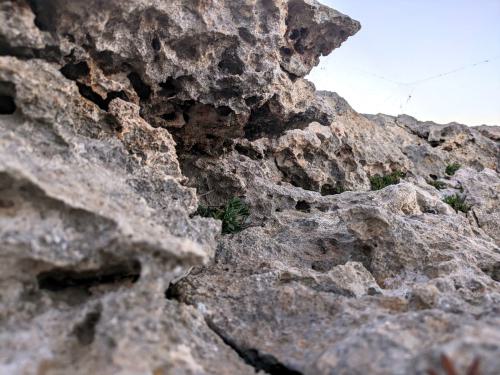 PXL 20240603 190005529