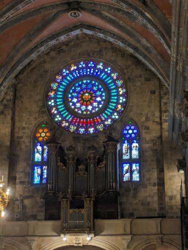 PXL 20240604 091514432