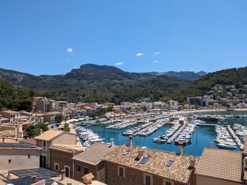 PXL 20240604 111627965