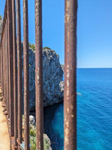 PXL 20240604 111815036.MP