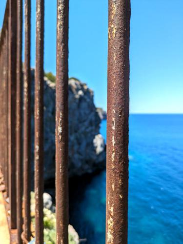 PXL 20240604 111817250.MP