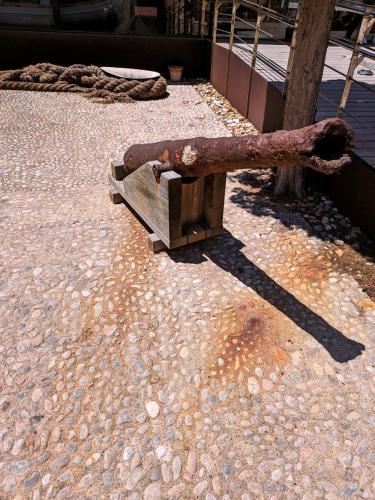 PXL 20240604 112031666