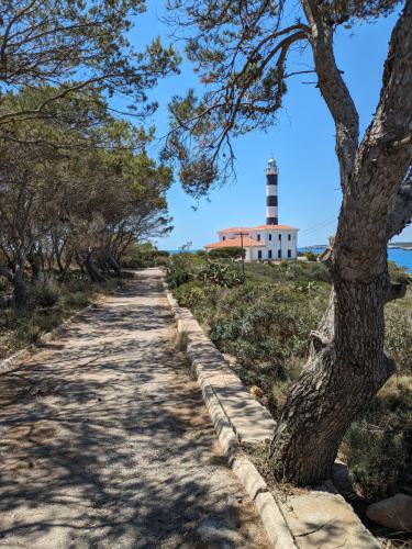 PXL 20240605 103952526.MP