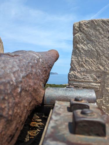 PXL 20240606 105024509