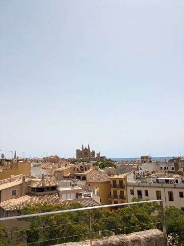 PXL 20240607 114340970