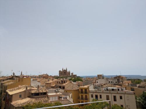 PXL 20240607 114344698