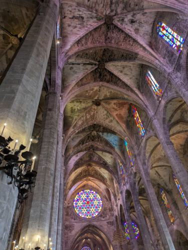 PXL 20240607 120442194